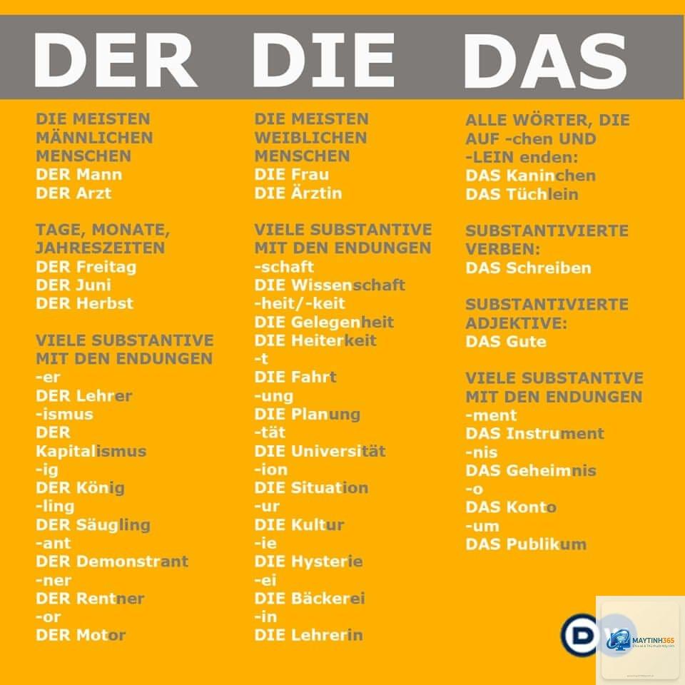 das là gì - Hình 2
