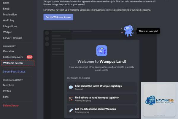 discord bị lỗi kết nối server - Hình 4