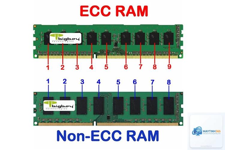 ecc ram là gì