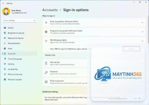 hướng dẫn accounts settings windows 11