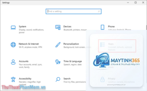 hướng dẫn apps settings windows 11