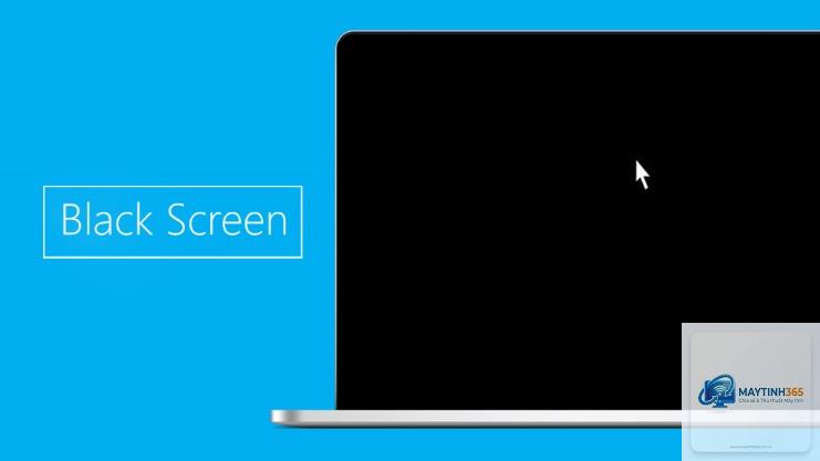 laptop bị màn hình đen - Hình 1