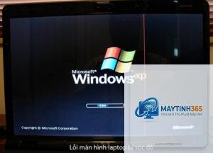 laptop bị sọc màn hình