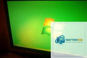 laptop màn hình bị ám vàng