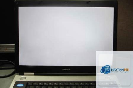 laptop màn hình trắng cách sửa - Hình 3