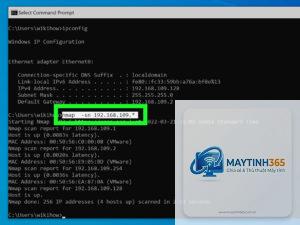 lệnh getmac trong cmd
