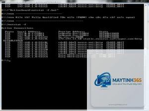 lệnh netstat trong cmd