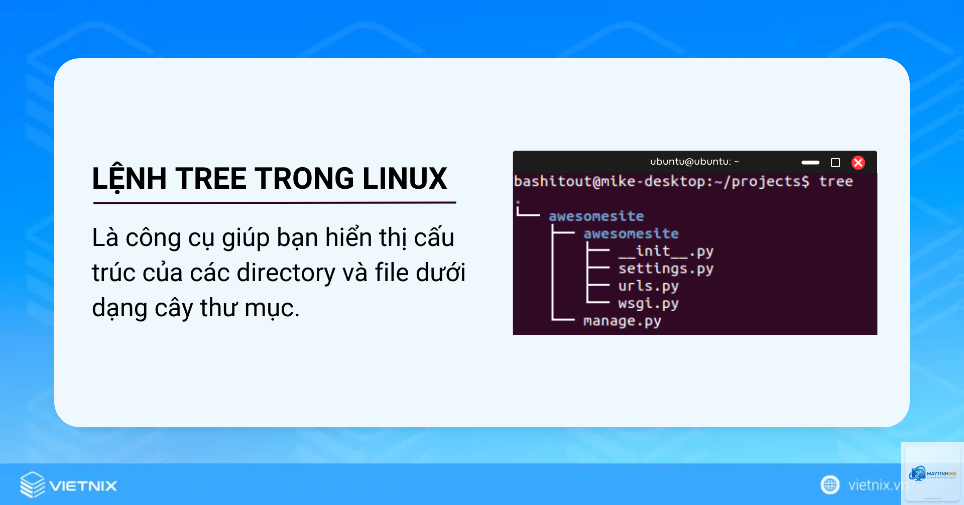 lệnh tree trong cmd - Hình 4