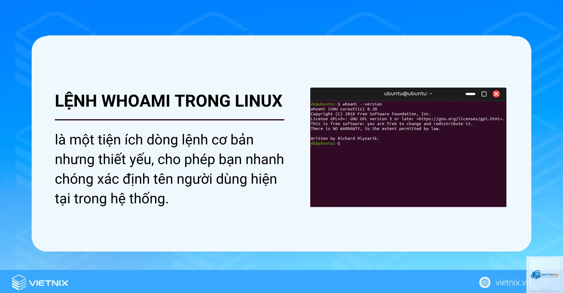 lệnh whoami trong cmd - Hình 2