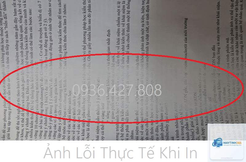 máy in bị mờ chữ - Hình 3