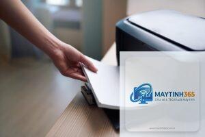máy in không kéo giấy