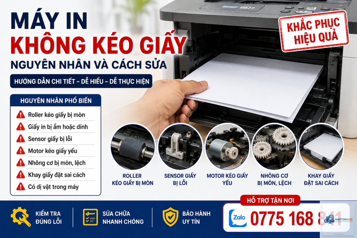 máy in không kéo giấy cách sửa - Hình 4