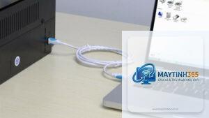 máy in không kết nối máy tính