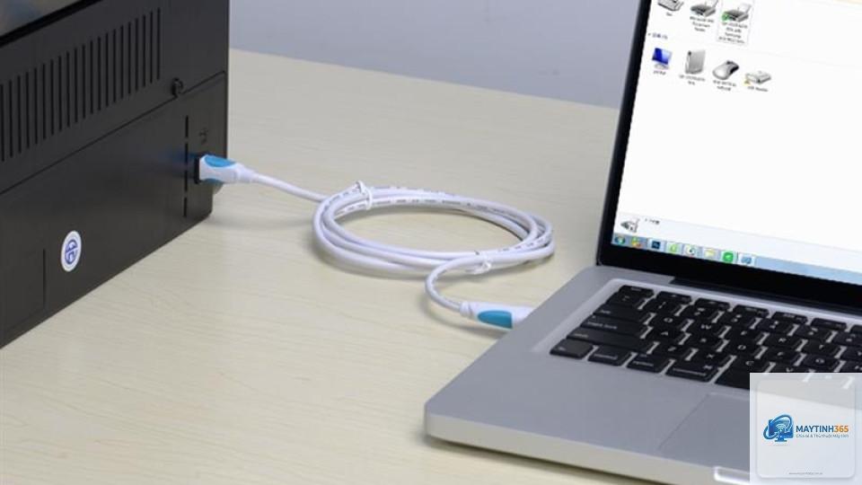 máy in không kết nối máy tính