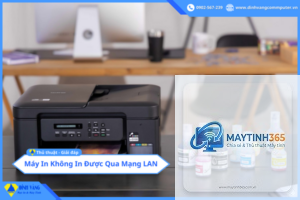 máy in không share được qua mạng LAN