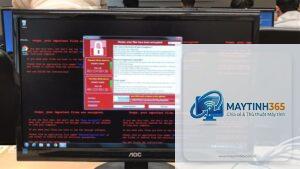 máy tính bị ransomware