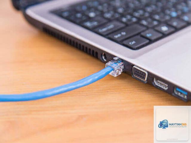 máy tính không nhận dây mạng - Hình 3