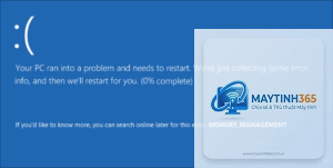 memory management windows 11
