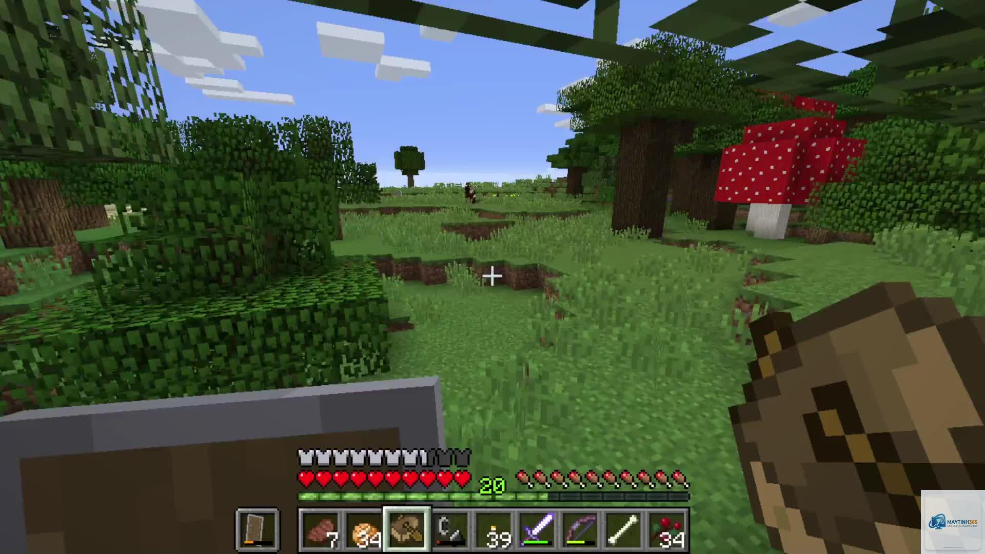 minecraft bị crash - Hình 4