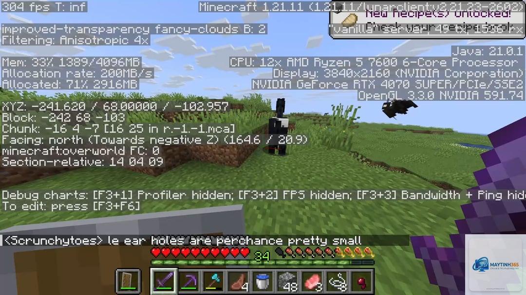 minecraft bị đứng máy - Hình 3