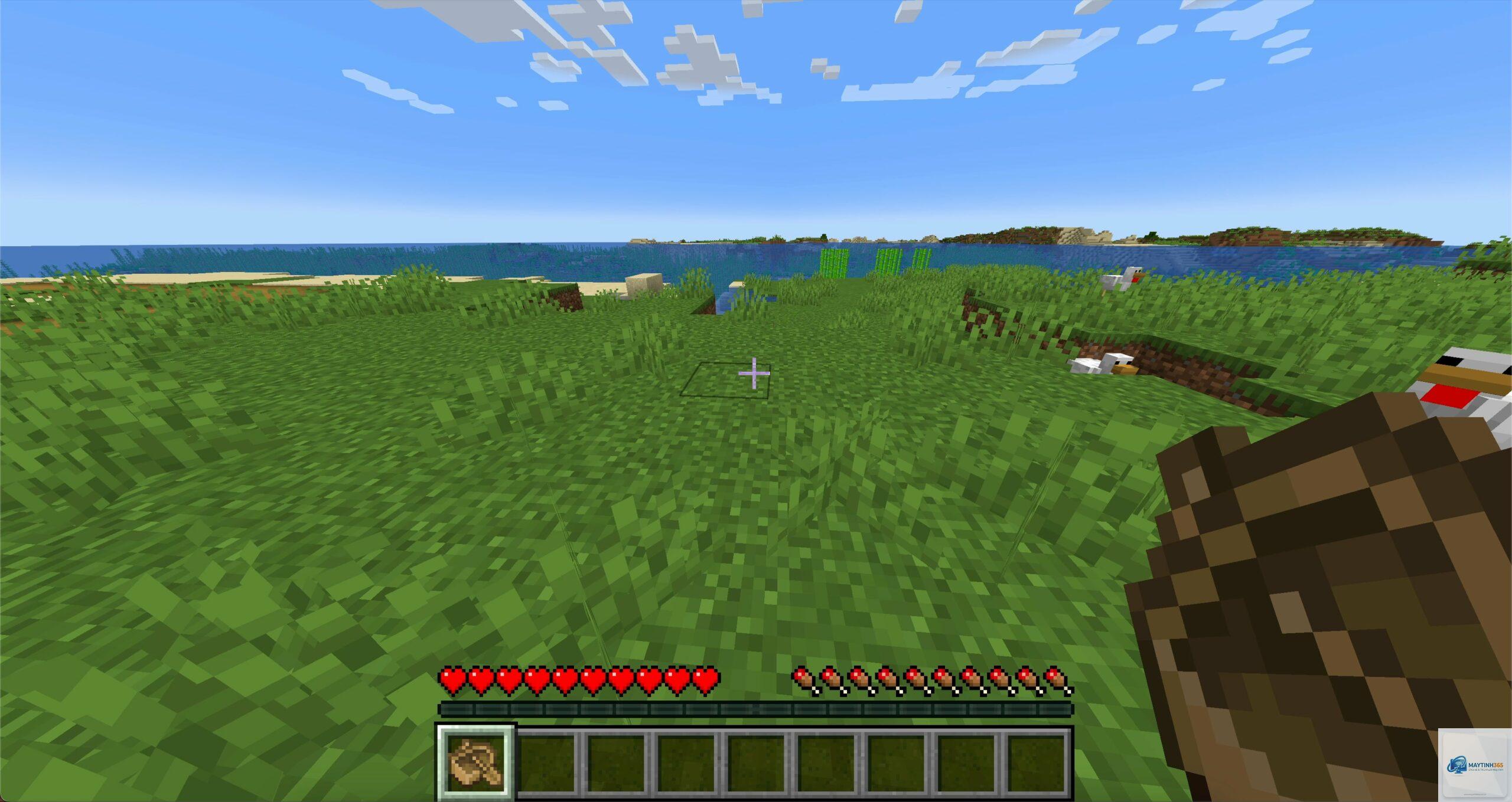 minecraft bị giật - Hình 2