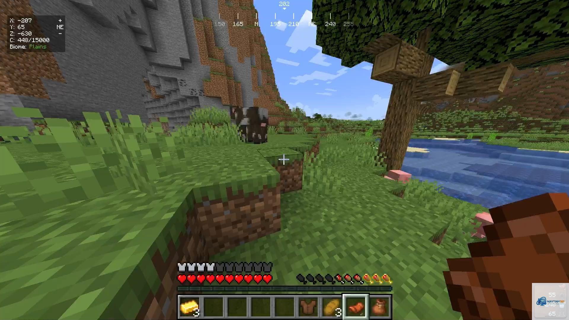 minecraft bị giật - Hình 5