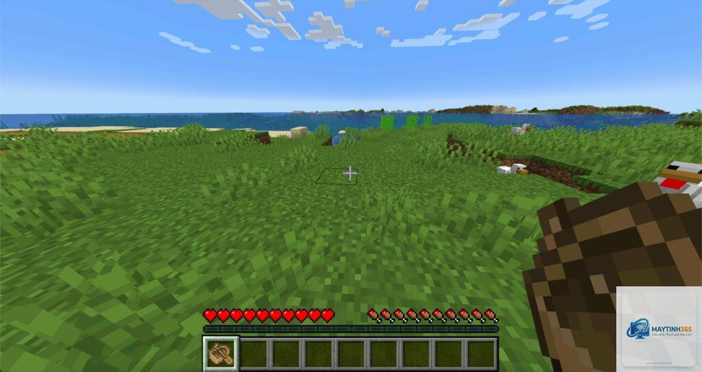 minecraft bị lag pc