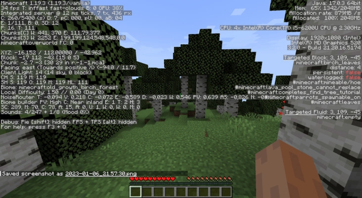 minecraft bị load chậm - Hình 3