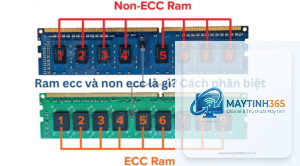 non ecc ram là gì