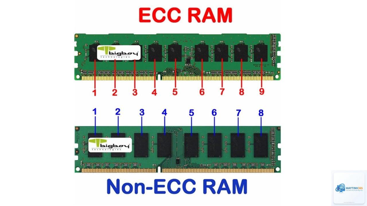 non ecc ram là gì - Hình 4