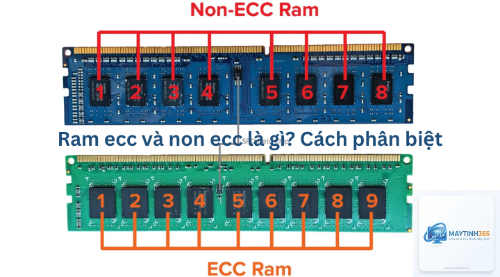 non ecc ram là gì - Hình 1