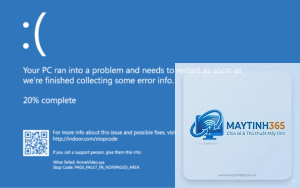 page fault in nonpaged area ram