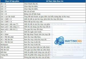 phím tắt windows search