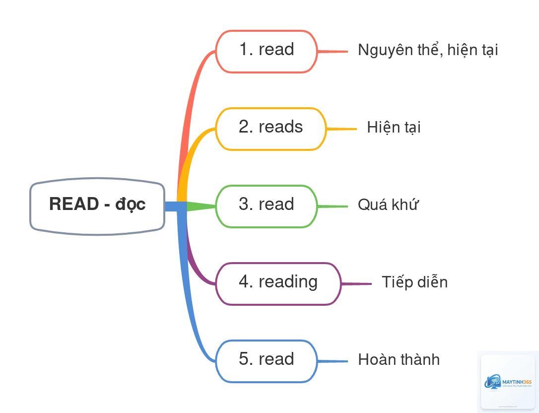 random read là gì - Hình 2