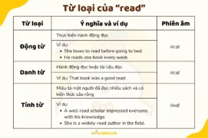random read là gì