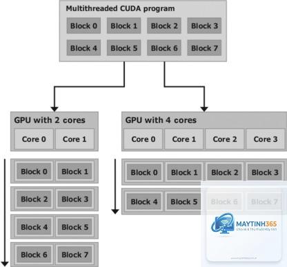 scalar processor là gì - Hình 3