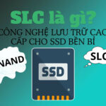 SLC là gì? Giải mã chi tiết ý nghĩa và ứng dụng thực tế trong kinh doanh, xuất nhập khẩu slc là gì