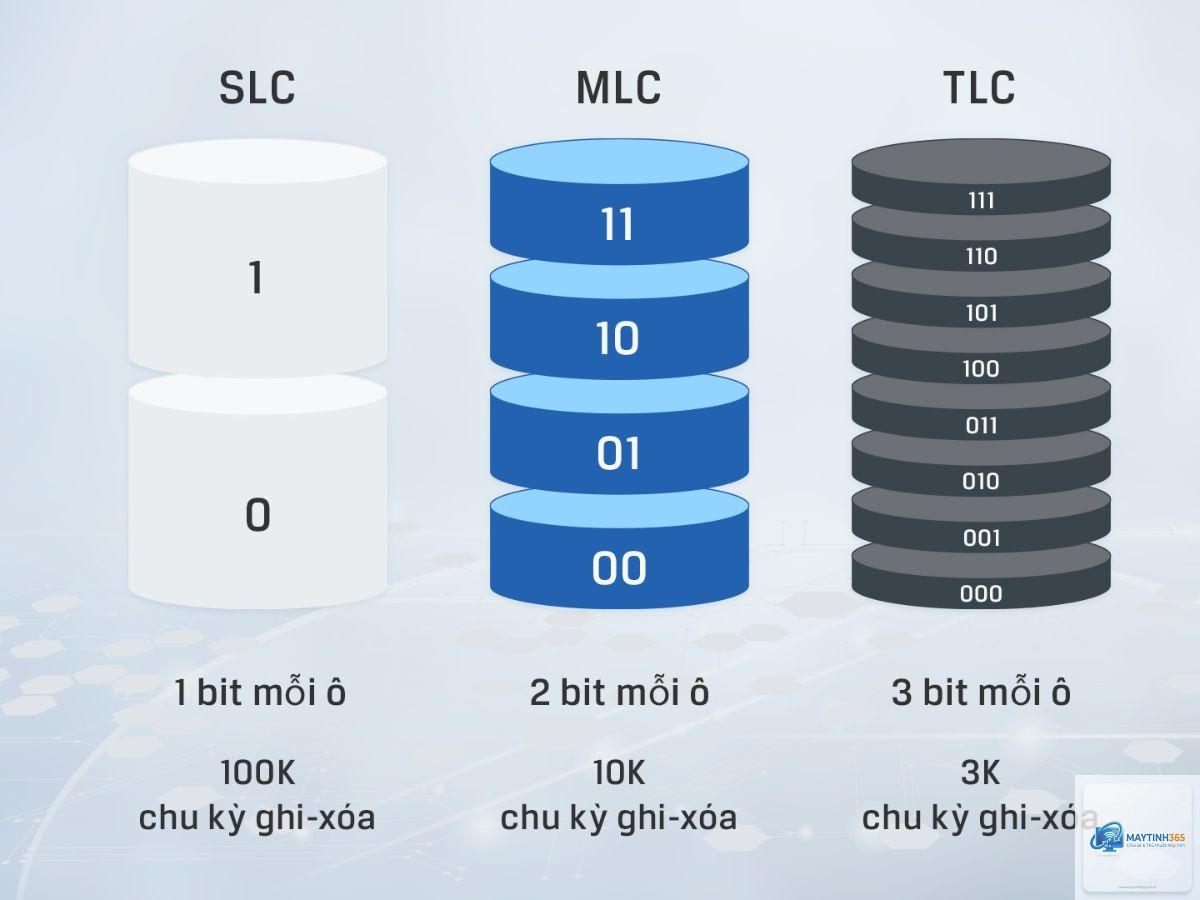 slc là gì - Hình 2