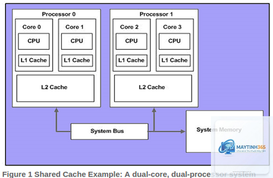 smart cache là gì