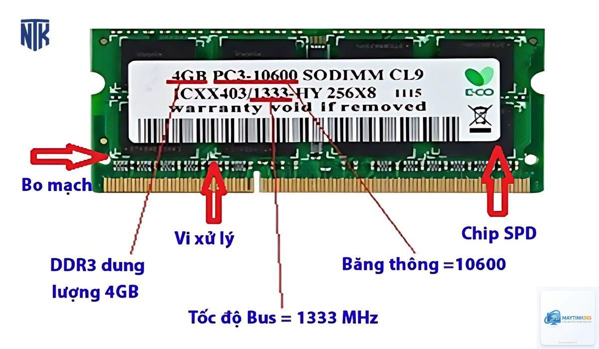 spd ram là gì - Hình 4