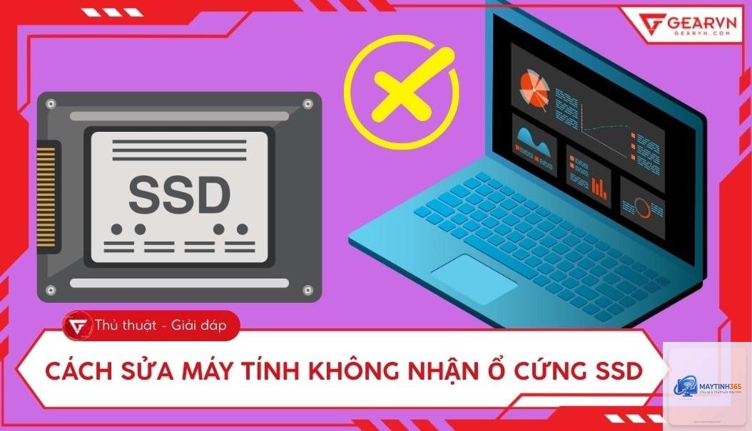 ssd không nhận - Hình 2