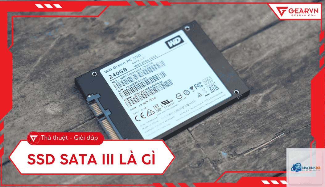 ssd sata là gì - Hình 5