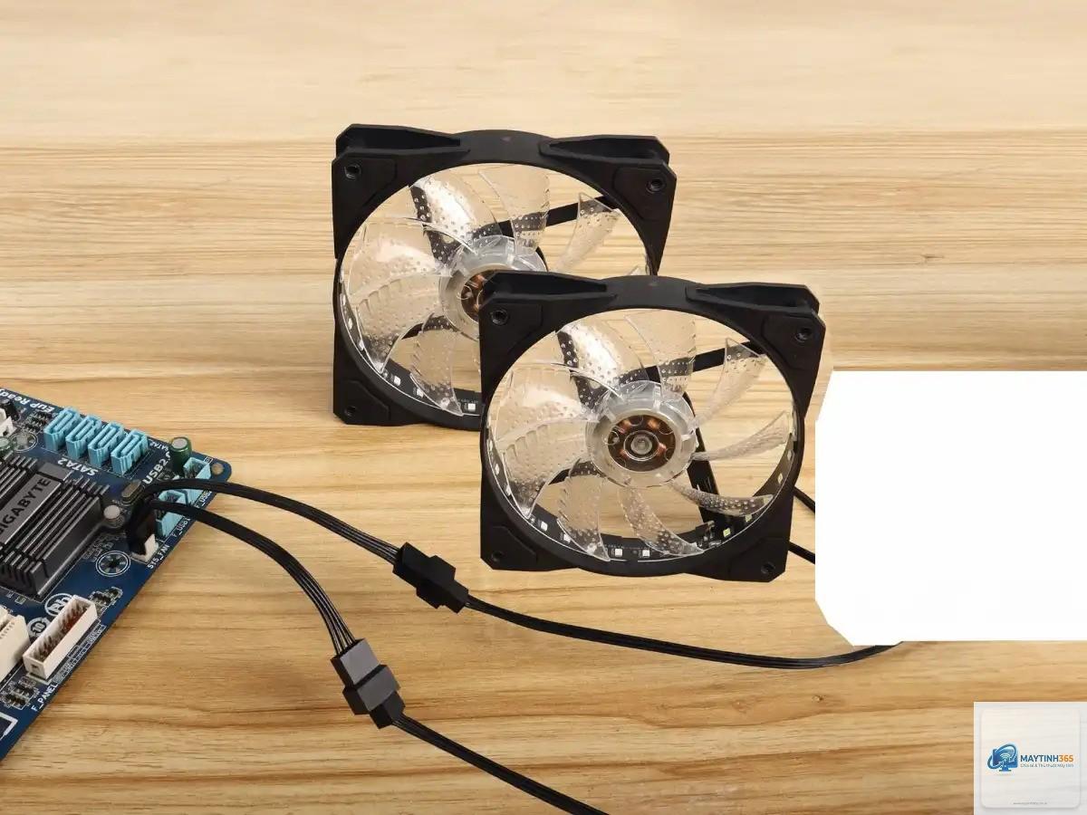 sys fan là gì - Hình 2