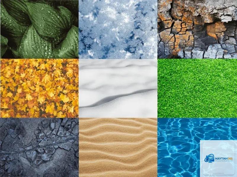 texture unit là gì