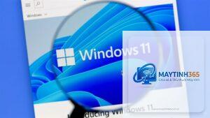 thủ thuật màn hình windows 11