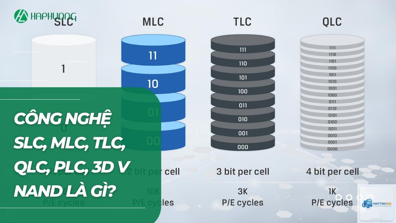 tlc là gì - Hình 5