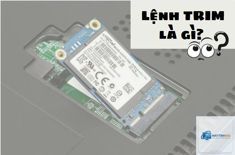trim là gì - Hình 4