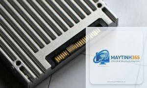 u2 ssd là gì