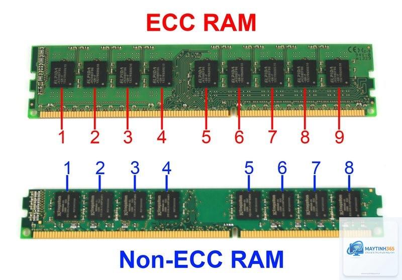 unbuffered ram là gì - Hình 3