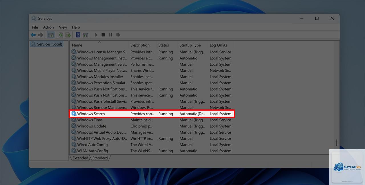 windows bị lỗi search không hoạt động - Hình 5